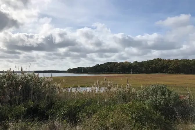 Clearwater Ranch by Accabonac Harbor 