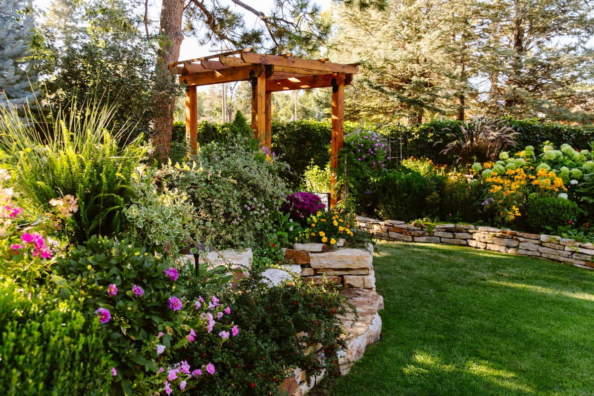 Backyard Bliss