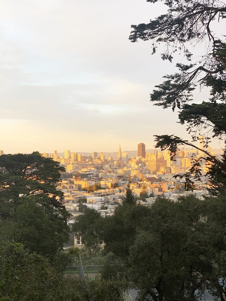 Cozy Oasis in the Heart of San Francisco