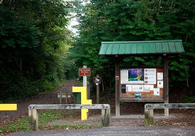 Bee’s Knees: Fun Finds