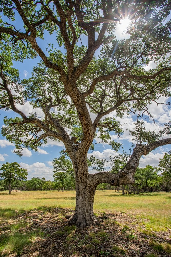 Sister Creek Ranch