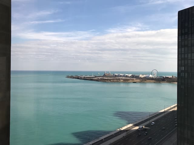 990 N Lake Shore Drive, #20B
