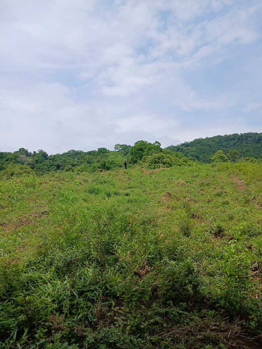 Exclusive Ocean View Development Parcel, Santa Teresa, Puntarenas