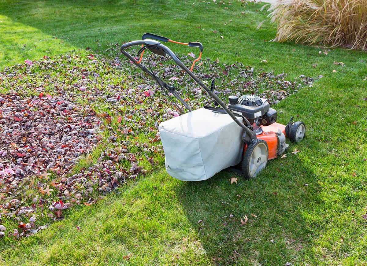 Seven Yardwork Tips