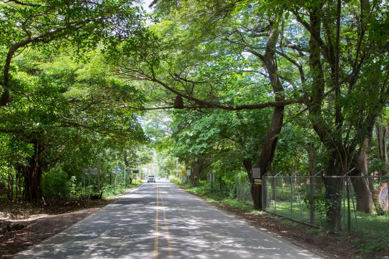 Lot K-24 | Surfside lot Near the Beach!