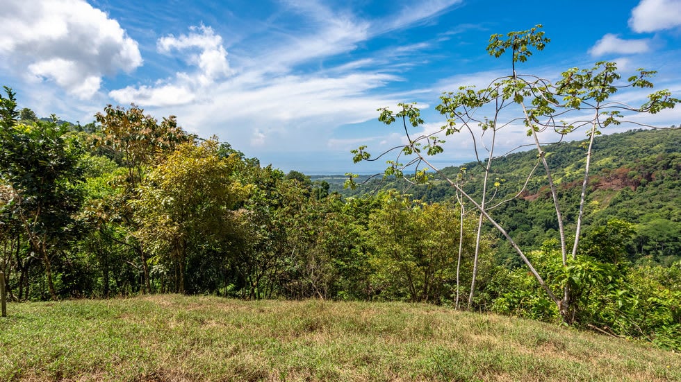 238 Acre Ocean View Property in Portalon with Waterfall