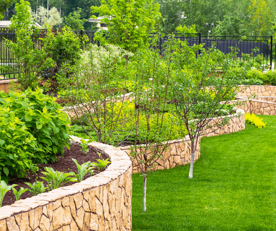 How To Save Money While Landscaping