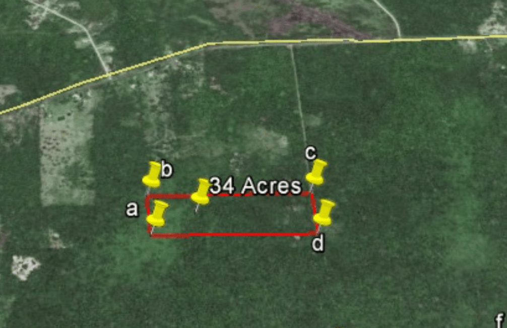 34 acres of prime agricultural land in Belize River Valley