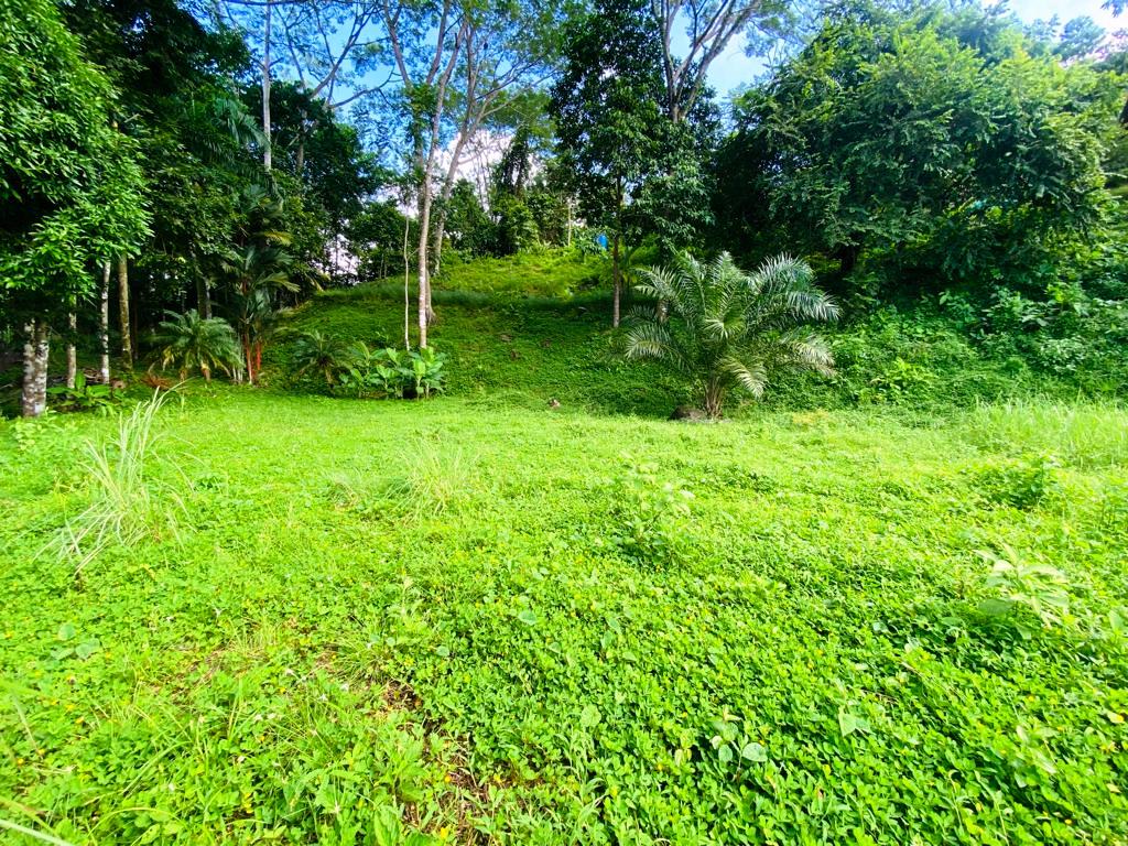 Gorgeous 1.43 Acres in Uvita Costa Rica Your Slice of Paradise Awaits