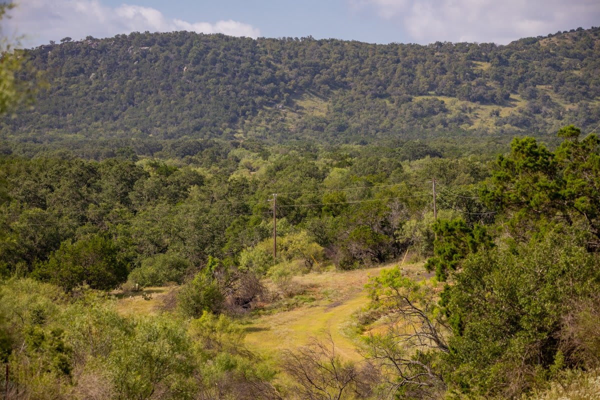 Packsaddle Ranch