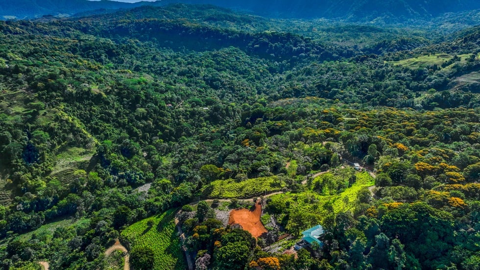 WATERFALL VIEW HOMESITES AND NATURE COMMUNITY PLAYA DOMINICAL