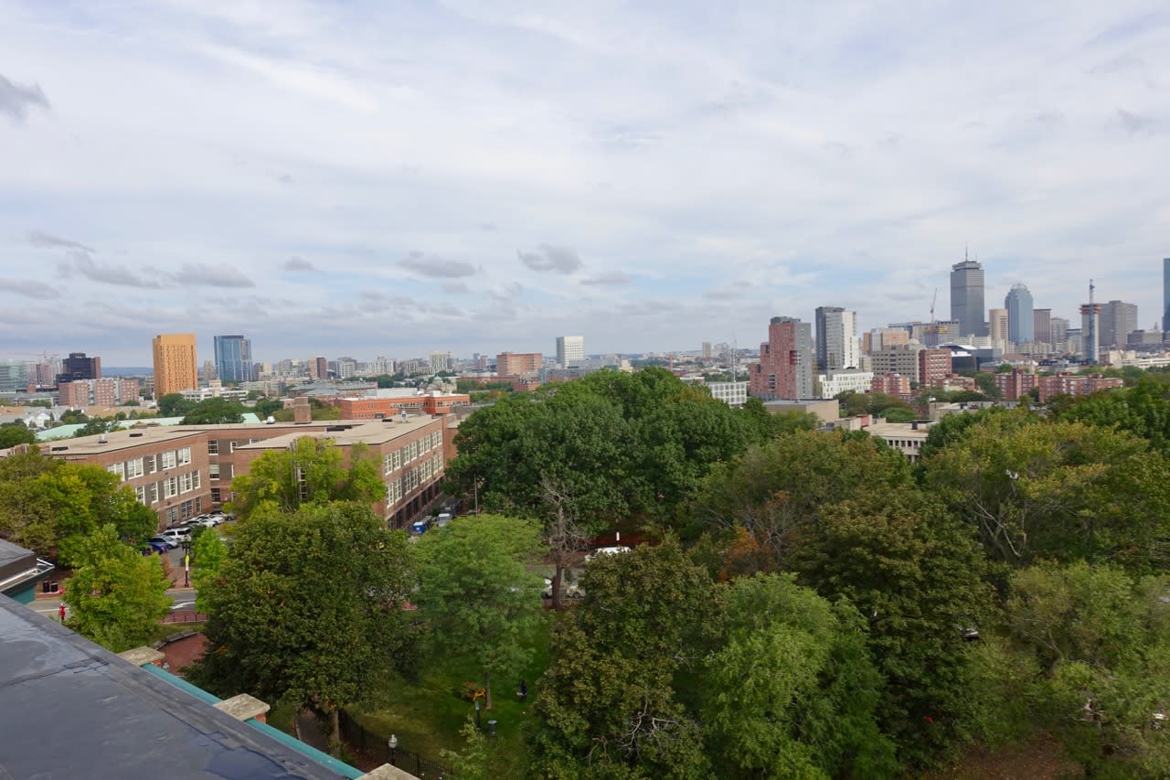 Roxbury Fort Hill - 2 Bedroom 1 Laundry, Air Conditioning and Roof Deck - SEPTEMBER 1!