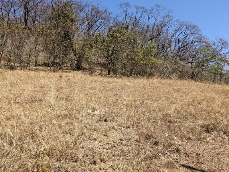 Ocean View Development Land, Tamarindo, Guanacaste
