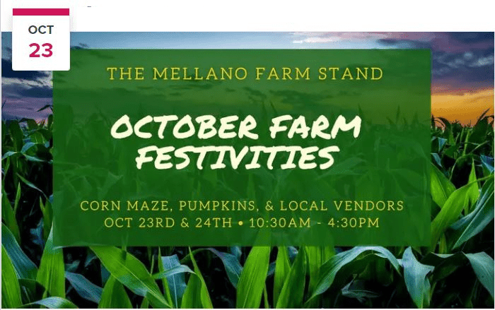Corn Maze/Pumpkin Patch Festival at Mellano Farm Stand
