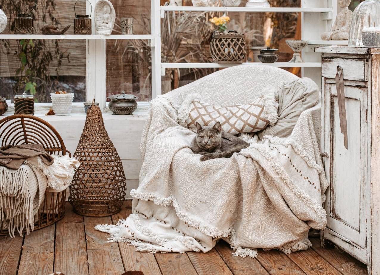 Rustic living room with a gray cat lounging on a cream-covered armchair.