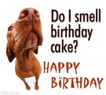 Brown dog looks upward beside the message, “Do I smell birthday cake? Happy Birthday.”