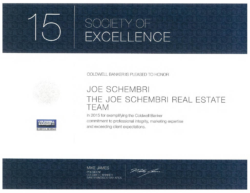 The certificate is primarily white with a dark blue banner at the top, displaying "15" and "SOCIETY OF EXCELLENCE".