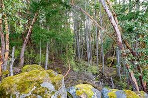 4750 Talon Ridge