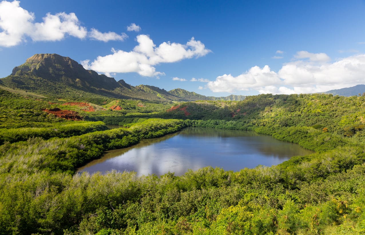 $4M Donation made to save the Alakoko "Menehune" Fishpond