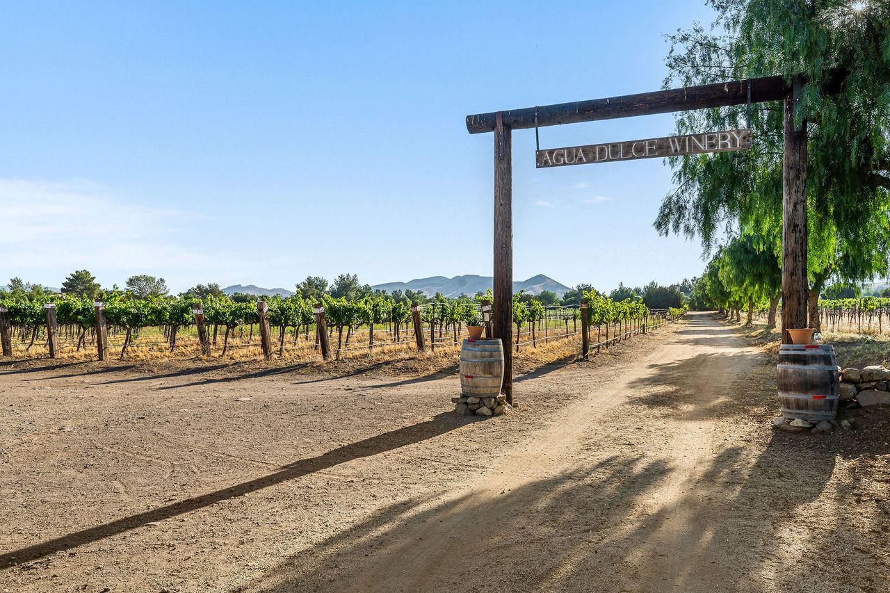 Scenic daytime path into the vineyard at this Los Angeles winery estate for sale.