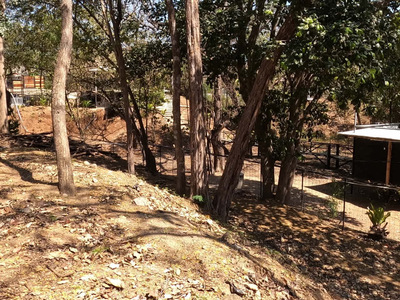 Land of your dreams | Large Lot with 2 Road Accesses