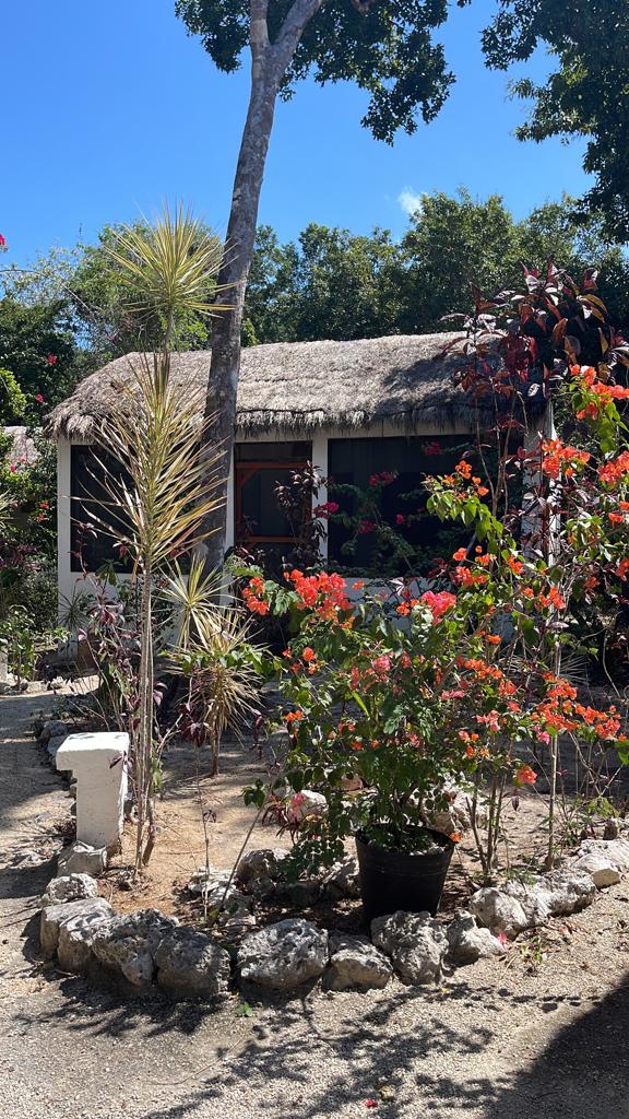 Eco-Hotel for Sale in Akumal Great Investment Opportunity