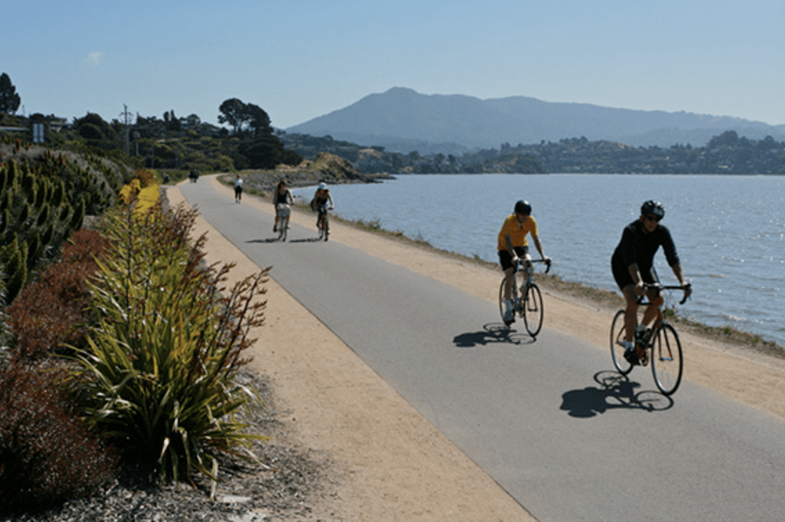 Discover Tiburon's Hidden Gems
