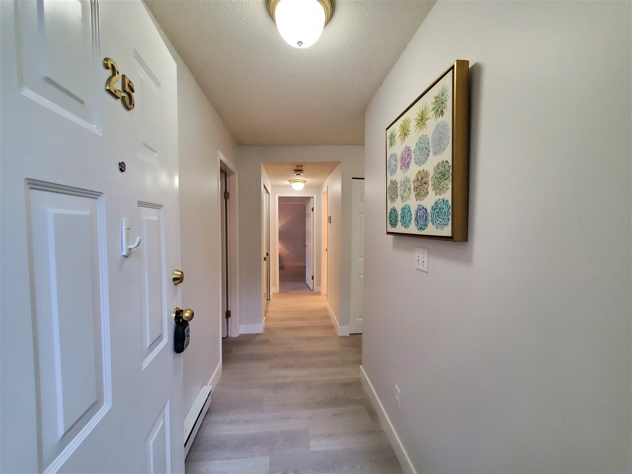 25-250 Casey St