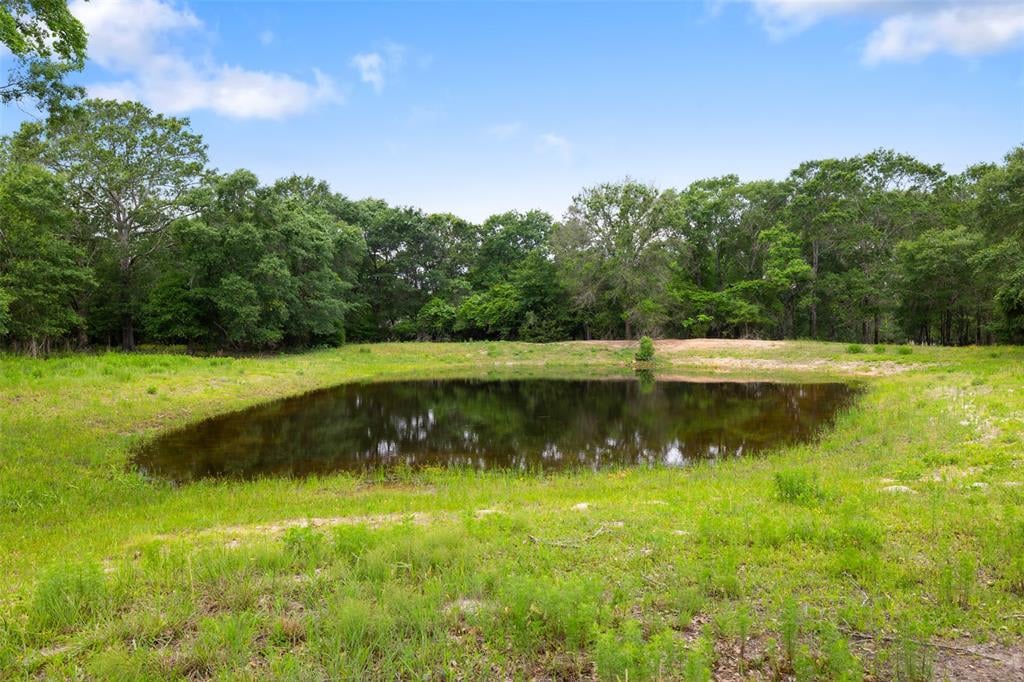 461 Piney Creek Rd Bellville, Tx 77418