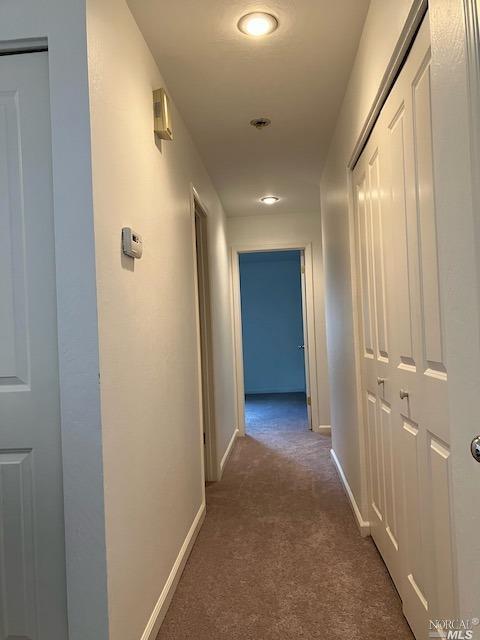 334 Alamo Sq