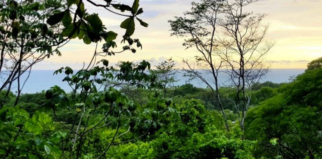 Elite Ocean View Development Land, Santa Teresa, Puntarenas