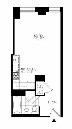 1 Hanson Pl, Unit: 12E