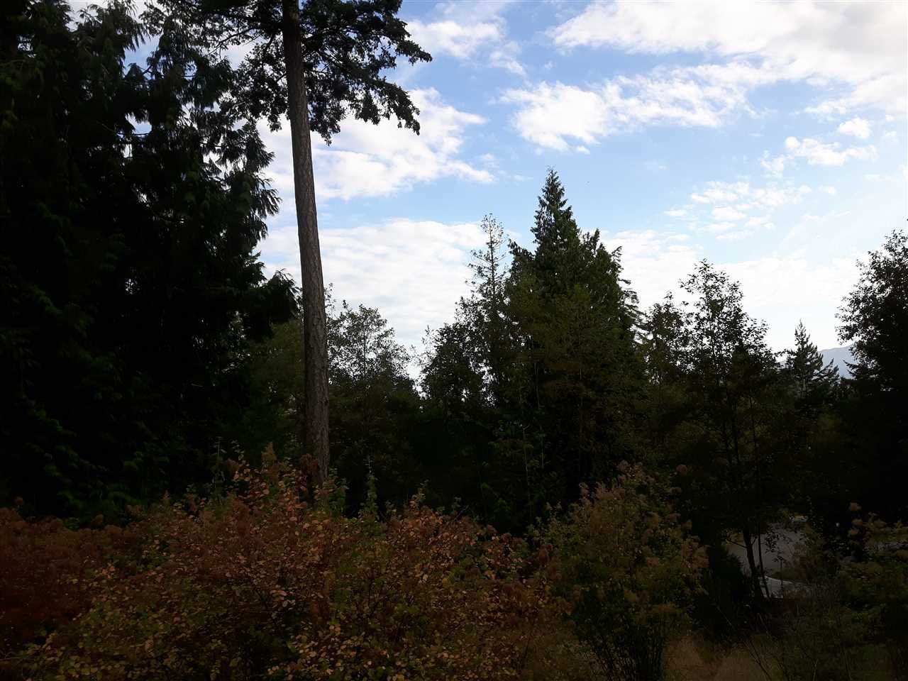 LOT 66 Packalen Blvd