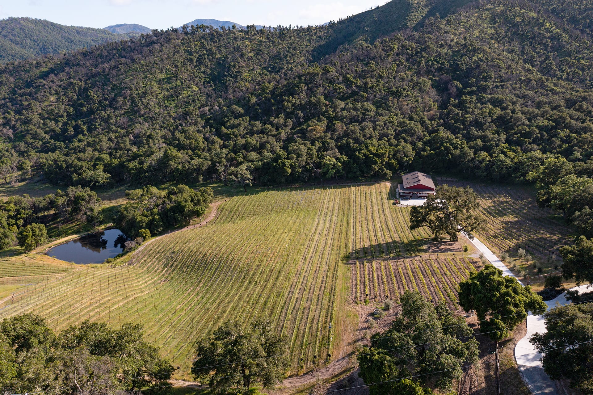 Wine Country Perfection - 17380 Cachagua Road