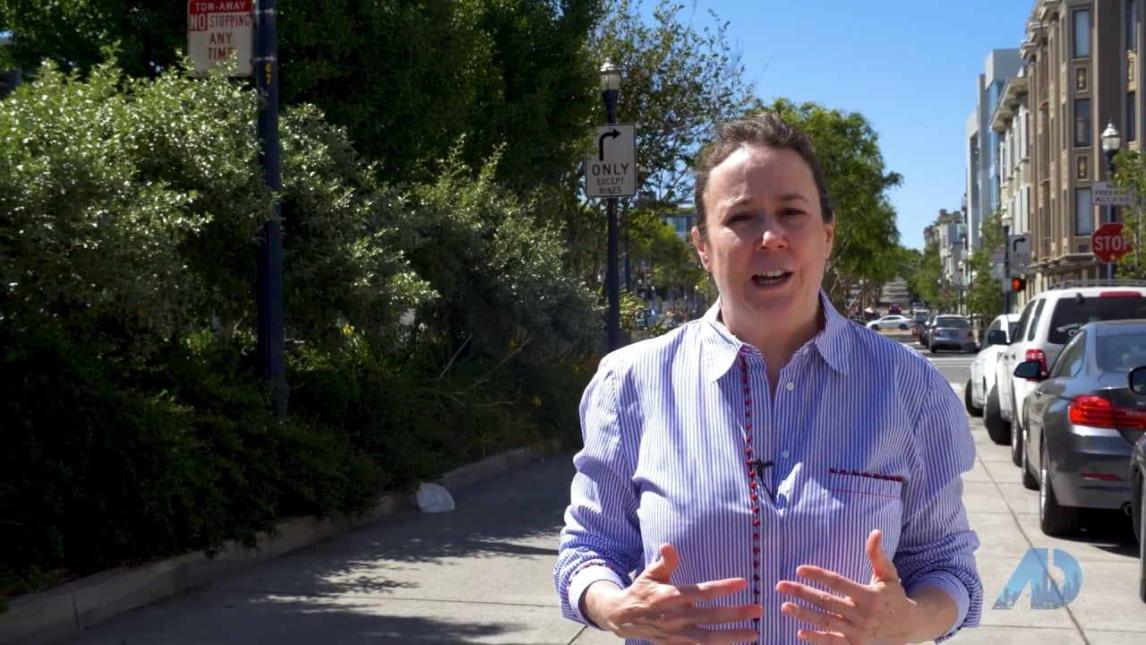 Bonnie Spindler, Changing Faces of Hayes Valley, Jim Warshell, Gail Baugh, American Dream TV