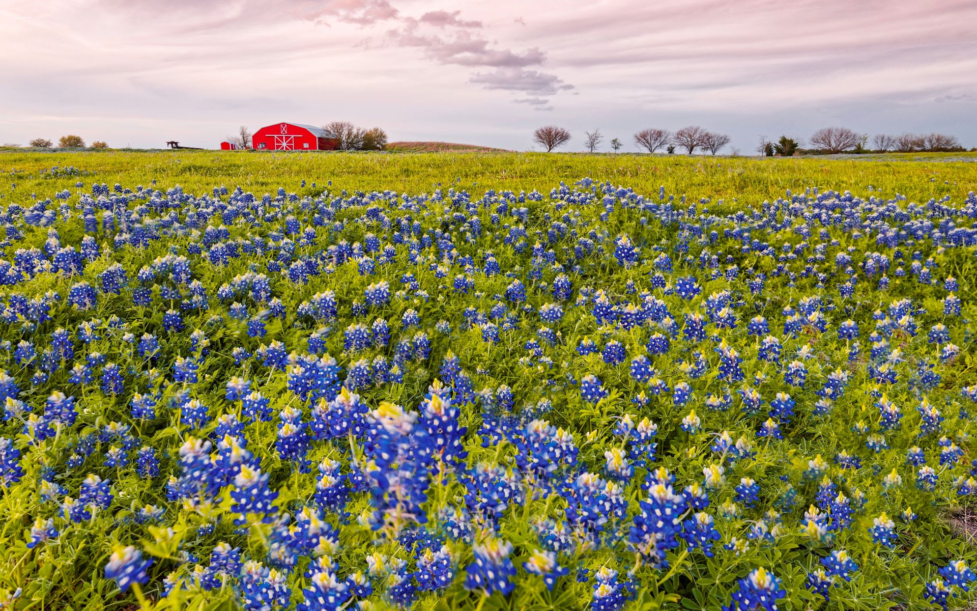 Brenham, Texas — historic downtown streetscape