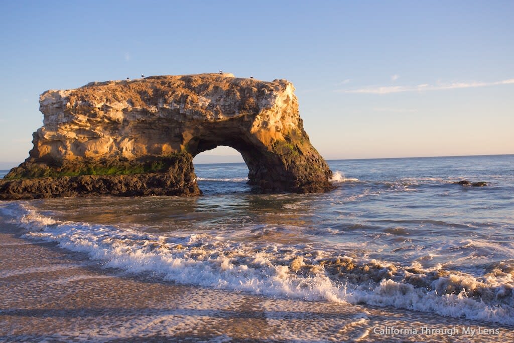 Discover Santa Cruz's Black-Owned Businesses!