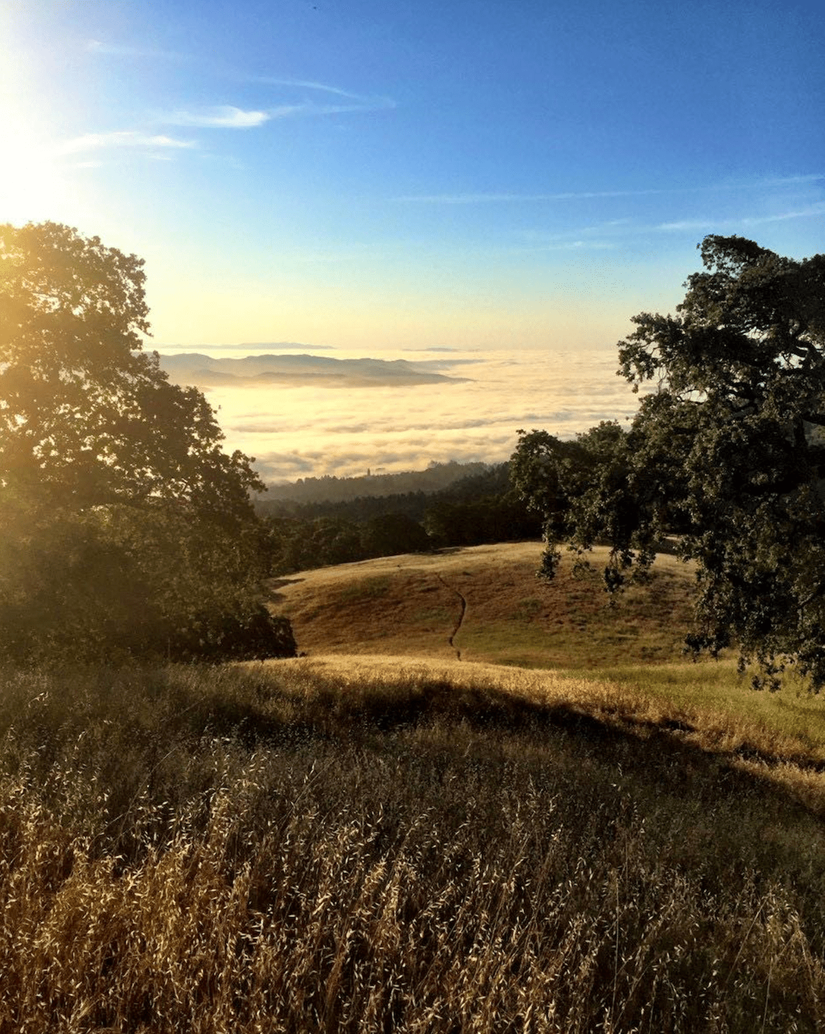 Glen Ellen Park Offers New Reason to Get Outside in Sonoma County This Fall