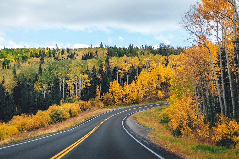 Embrace The Beauty Of Fall: 10 Easy Things To Do In Colorado