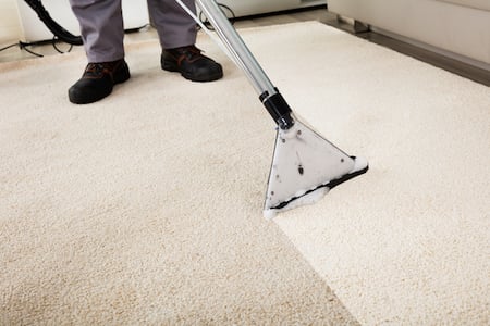 A carpet-cleaning wand cleans beige carpet, leaving a damp track behind it.