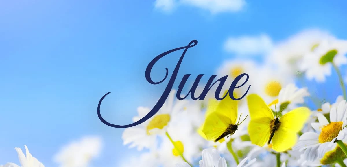 SAN FRANCISCO REAL ESTATE MARKET UPDATE - June 2024
