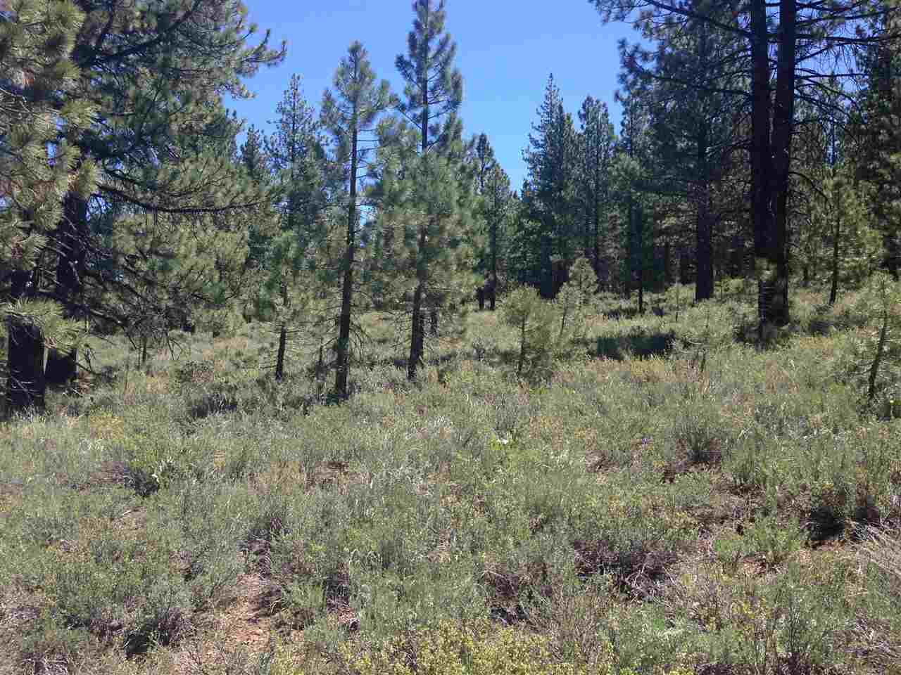 18433 Arcturus Reach Truckee Ca