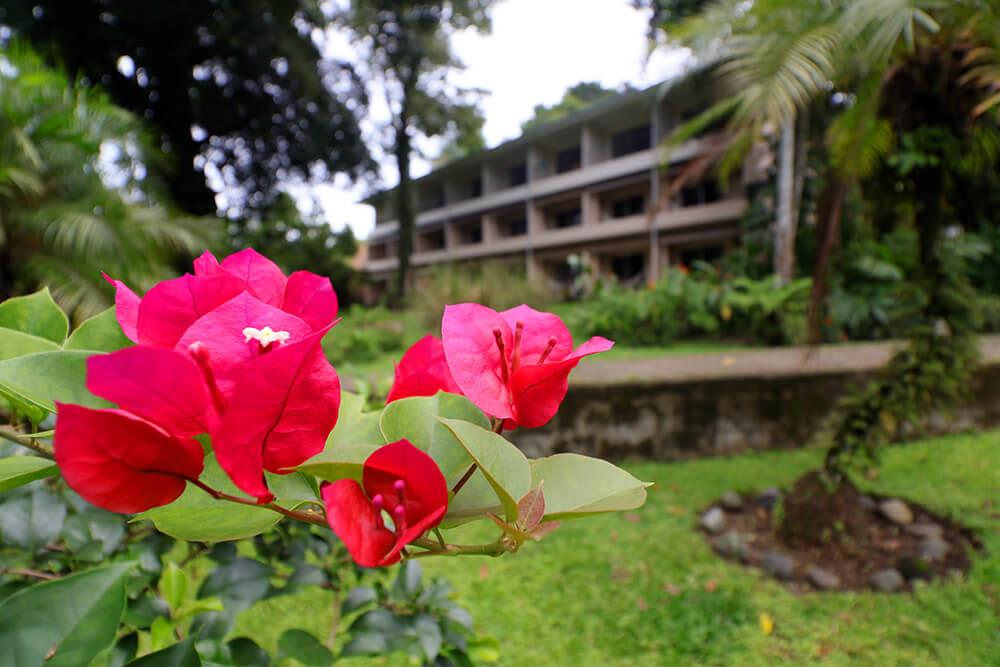 Manuel Antonio Beachfront Hotel