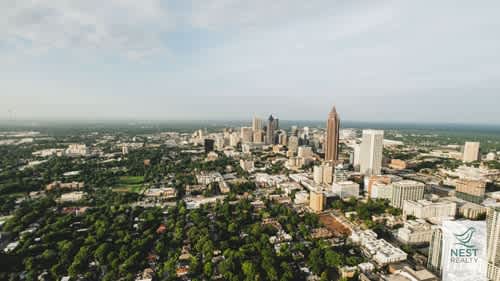 Nesty Zoom Backgrounds