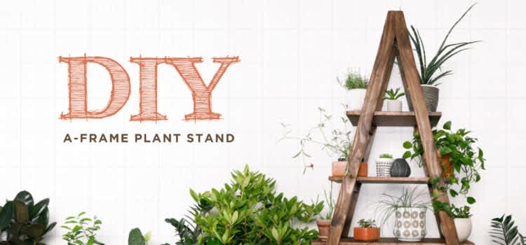 DIY A-Frame Plant Stand