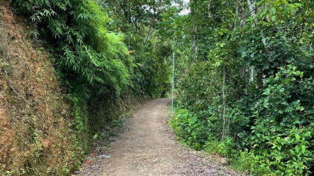 Riverfront Ranch Above Uvita With Waterfalls, and Ocean Views