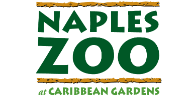 NAPLES ZOO