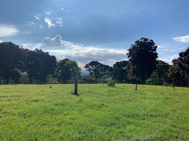 Vast Mountain Farm Acreage, Heredia