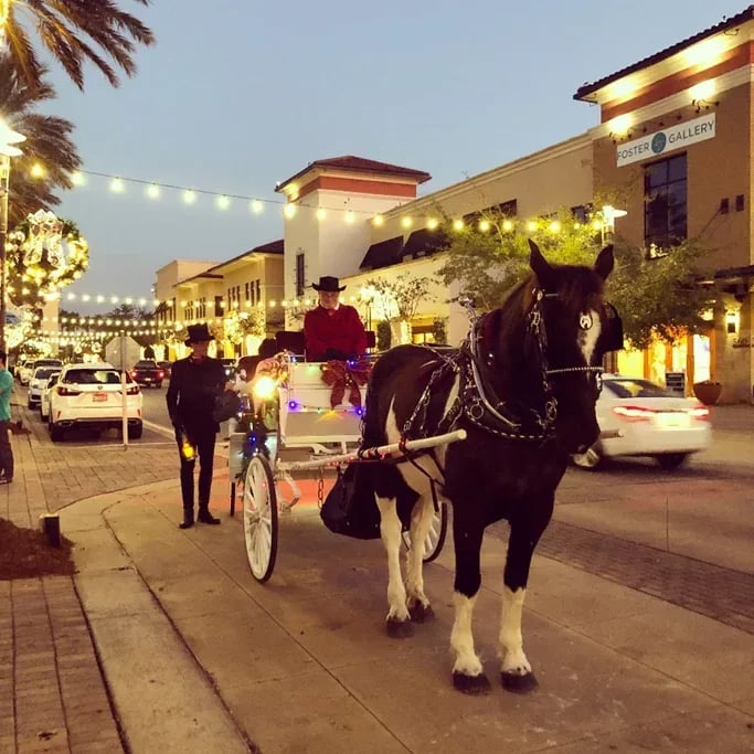 Horse-Drawn Carriage Rides and Photos With Santa Clause