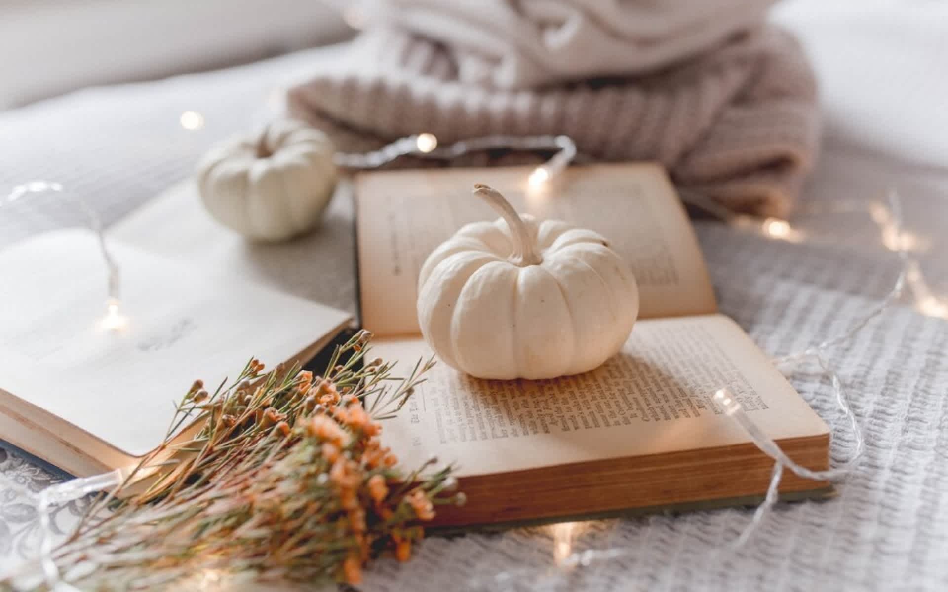 Fall Décor Ideas: How Floridians Cozy Up This September!